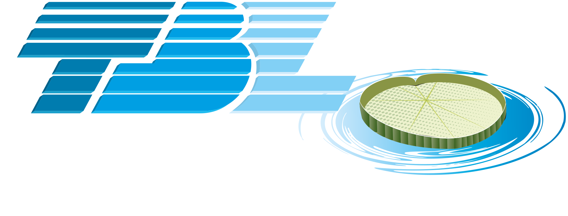 TBL Transportes Bertolini